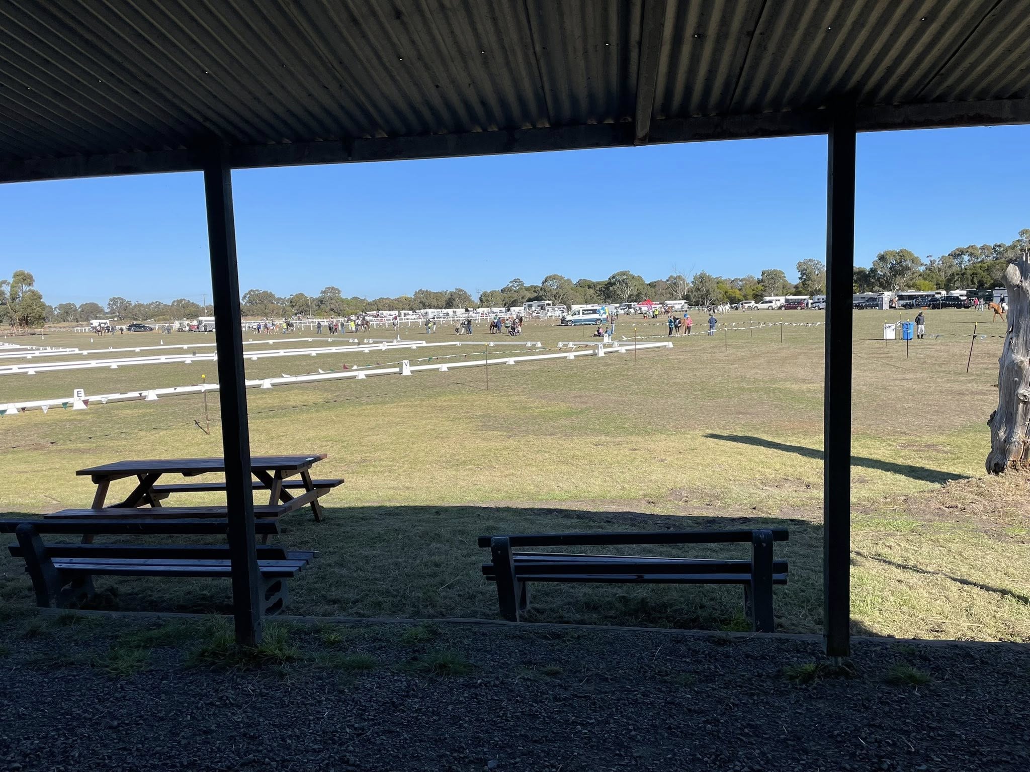 Mentone Pony Club Events