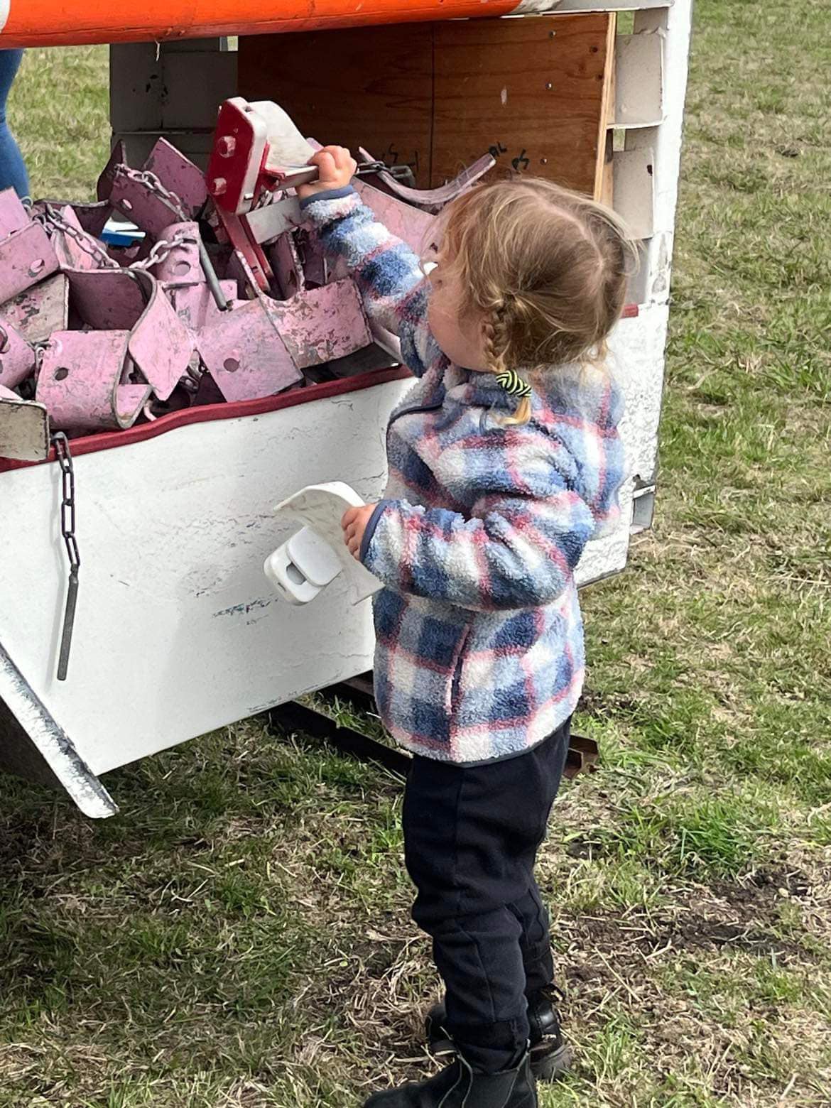 Working With Children Checks